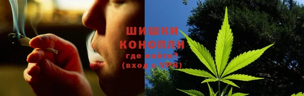 дмт Арсеньев