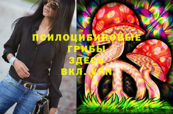 мдпв Армянск