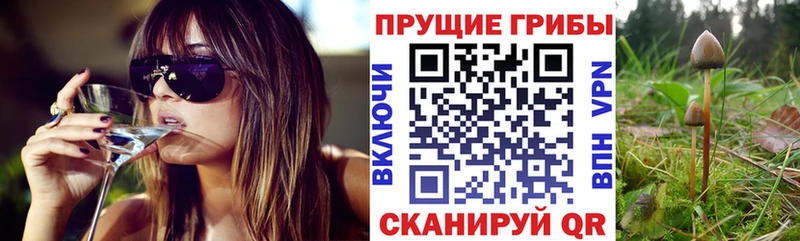 Псилоцибиновые грибы ЛСД  продажа наркотиков  Светлоград 